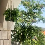 Suker Apartmán Trogir
